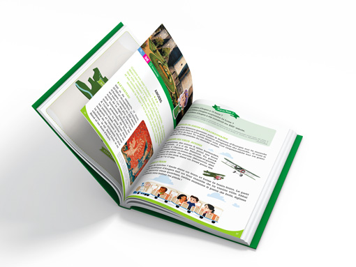 Guide michelin chateaux de la loire