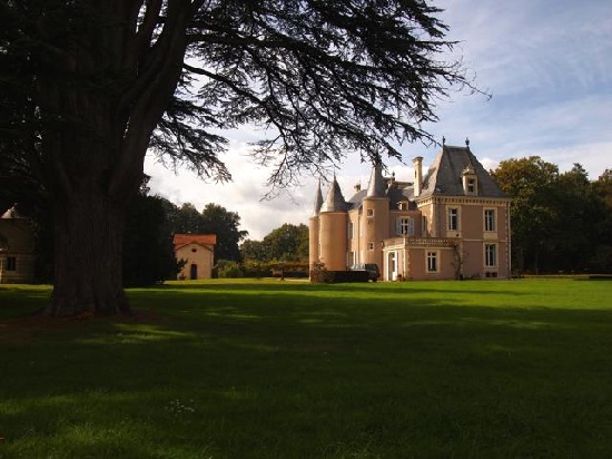 Cherche chateau a acheter