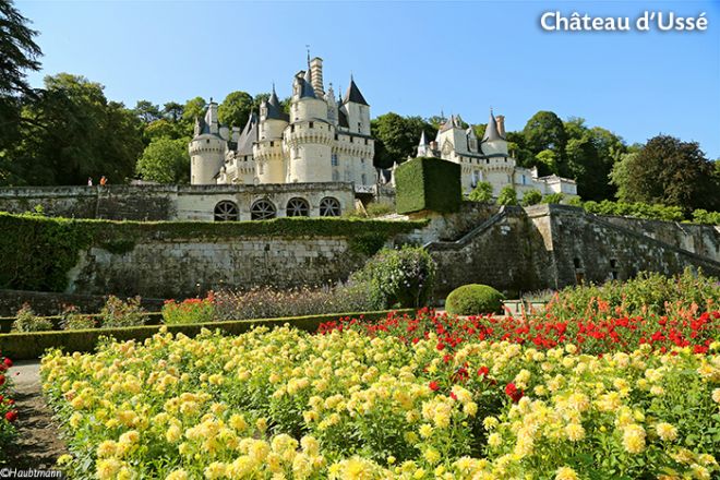 Croisiere chateau de la loire