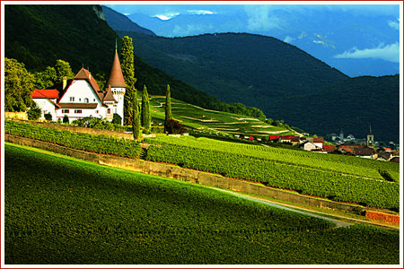 Domaines maisons et chateaux