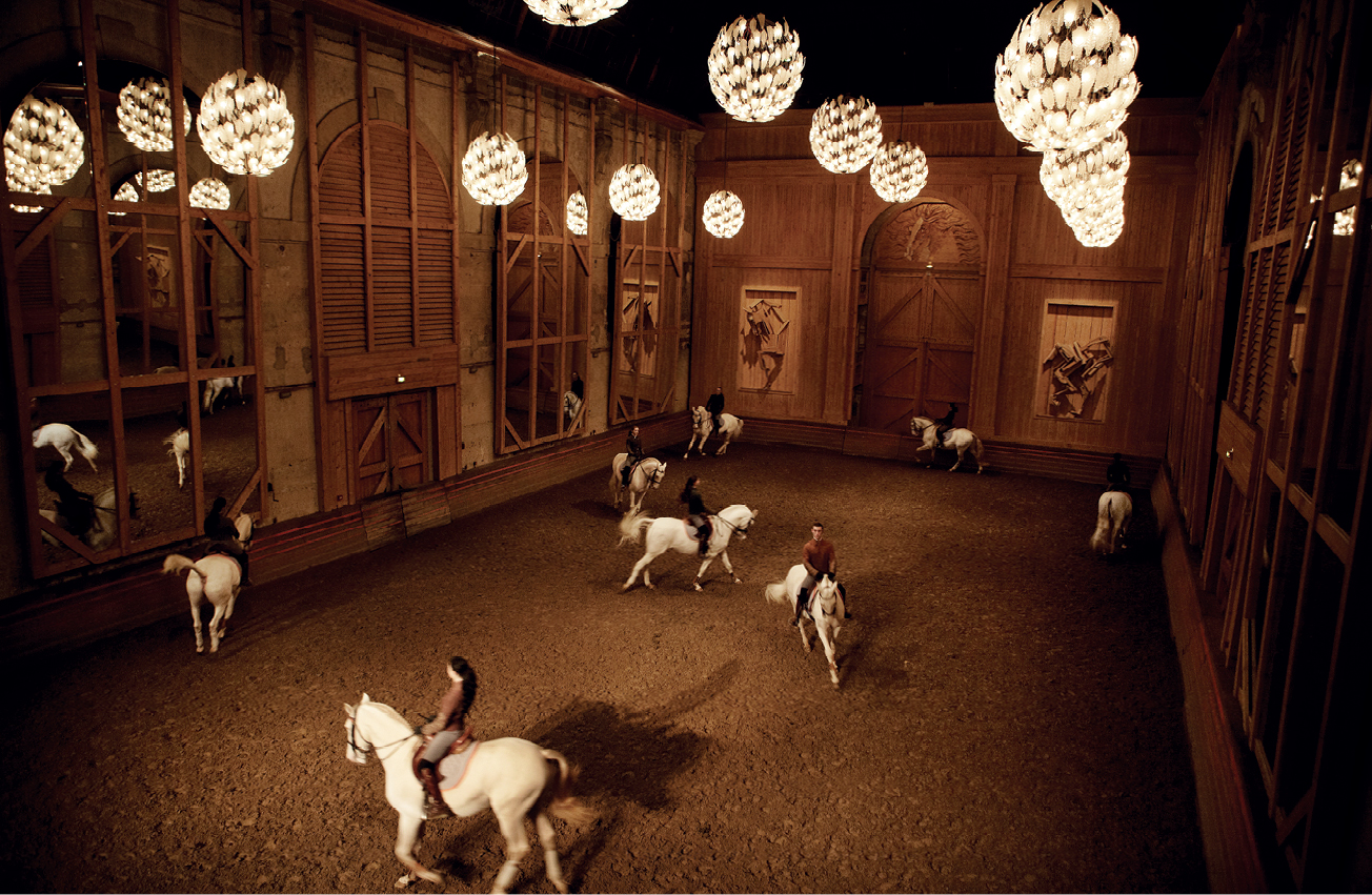 Spectacle versailles