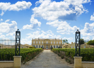 Visite vin bordeaux