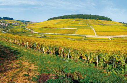 Week end relais chateau bourgogne