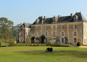 Hotel loire chateau