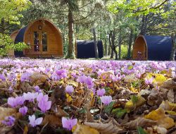 Location vacances pres des chateau de la loire