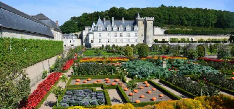 Château de villandry