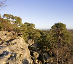 Que visiter a fontainebleau