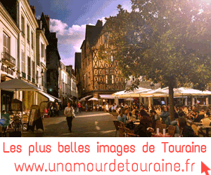 Pass visite chateaux de la loire